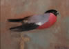 Bullfinch._Oil_on_Board